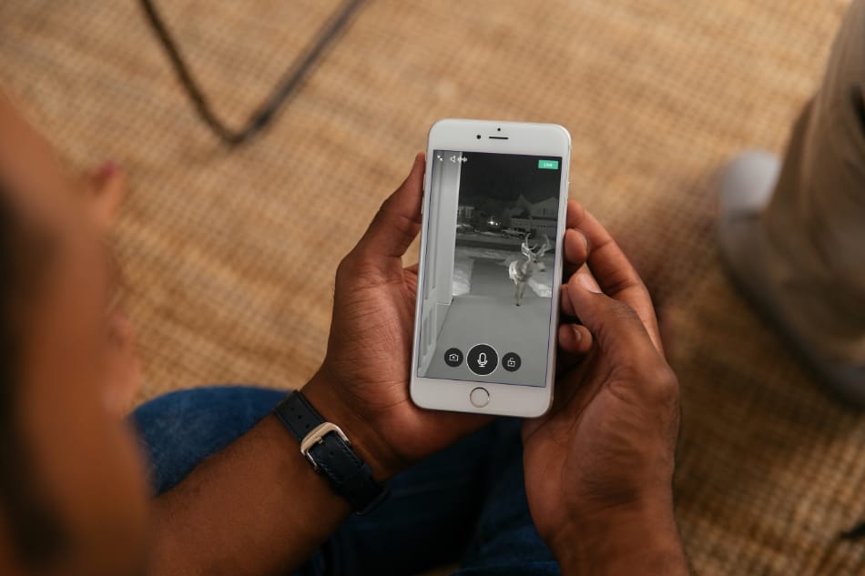 Safety Harbor FL security system