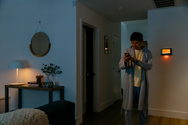 Vivint St. Petersburg smarthome automation